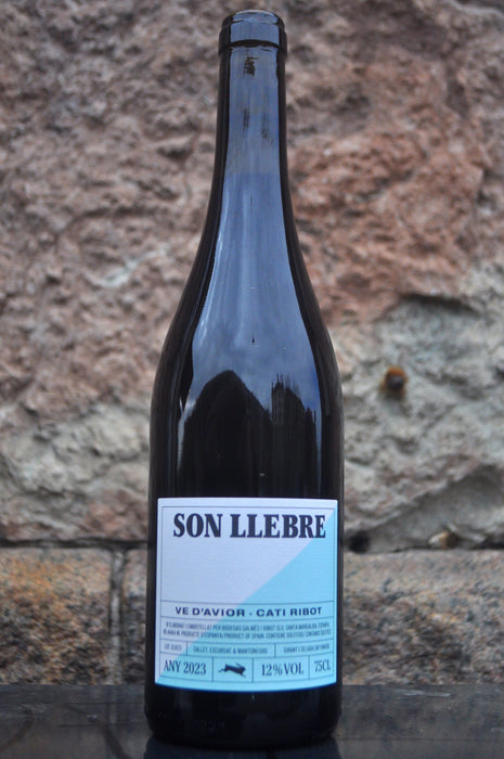 Son Llebre, Negre '23, Cati Ribot