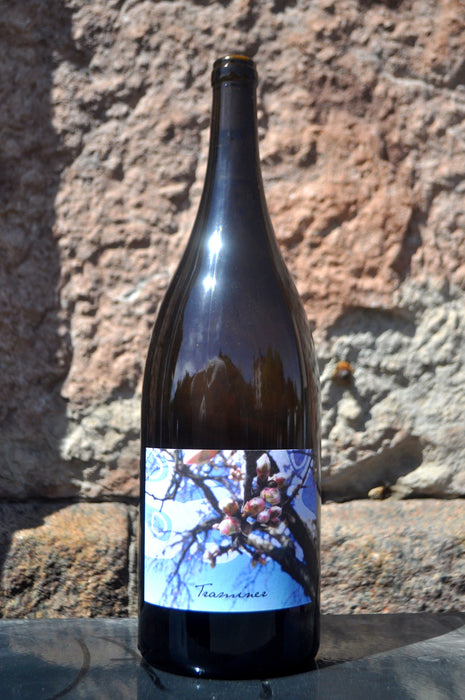 Traminer (MG) '23, Judith Beck