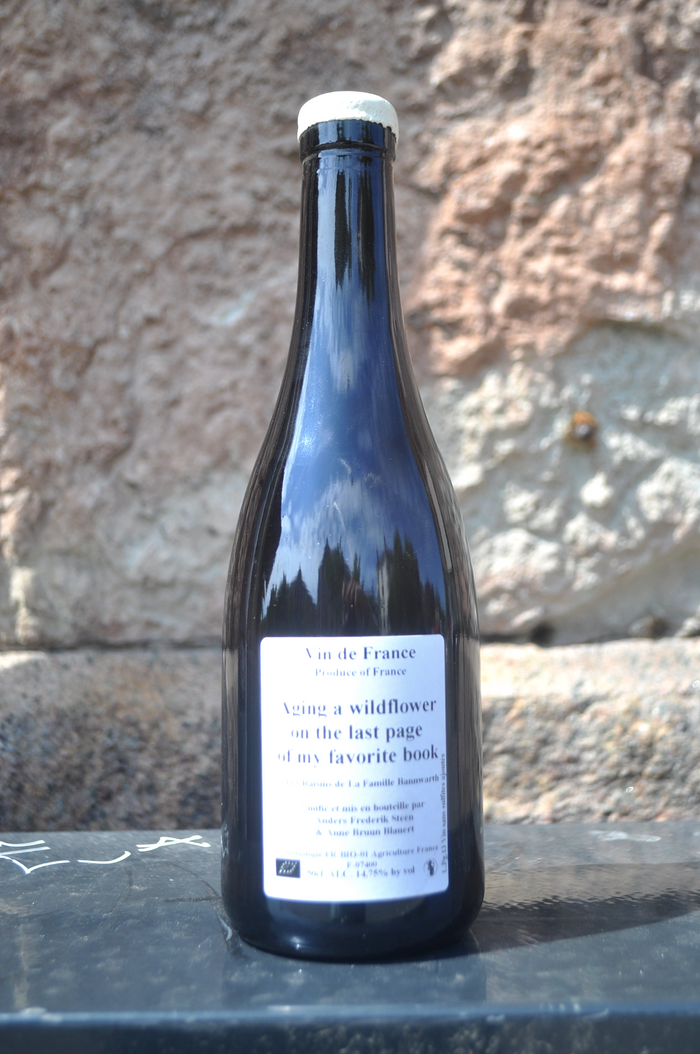 ANDERS FREDERIK STEEN