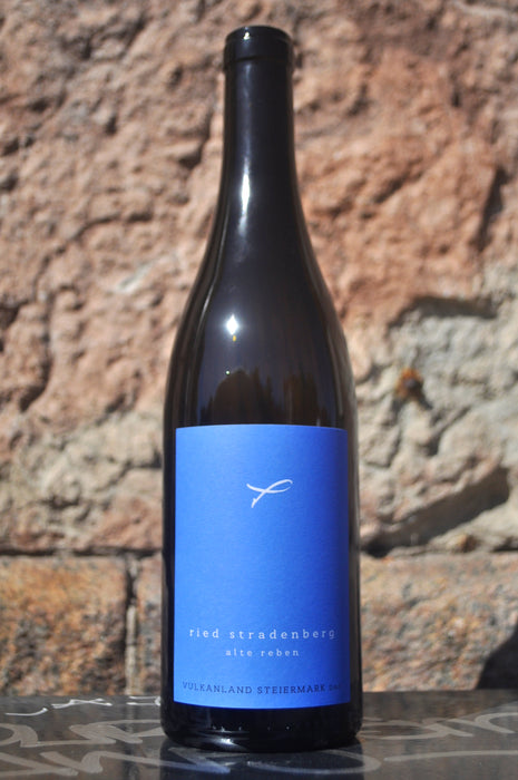Ried Stradenberg '21, Weingut Fischer