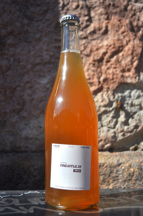 PINEAPPLE '24, TBPCVB