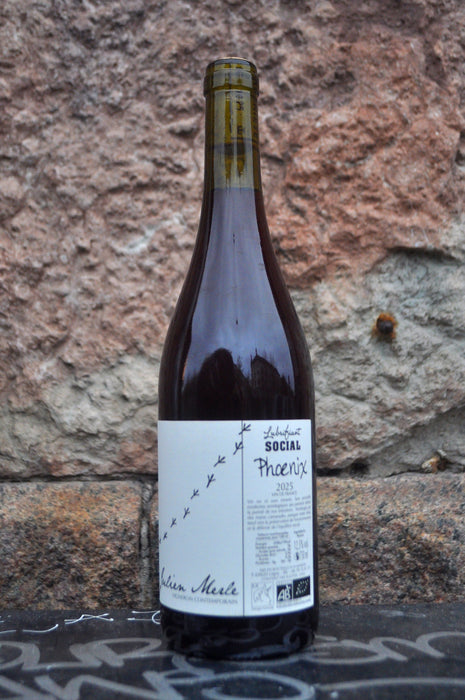 Phoenix '25, Julien Merle