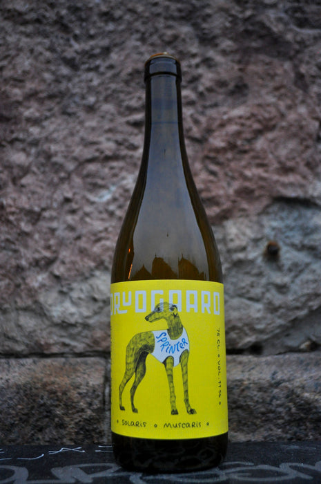 Sprinter '24, Drudgaard