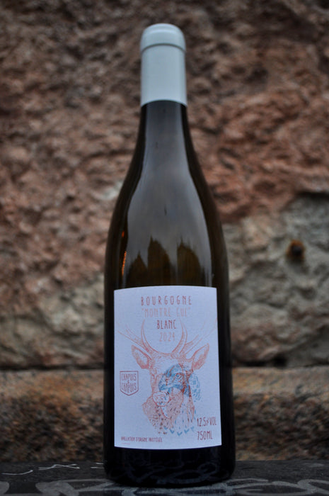 Montre Cul blanc '24, Chapuis