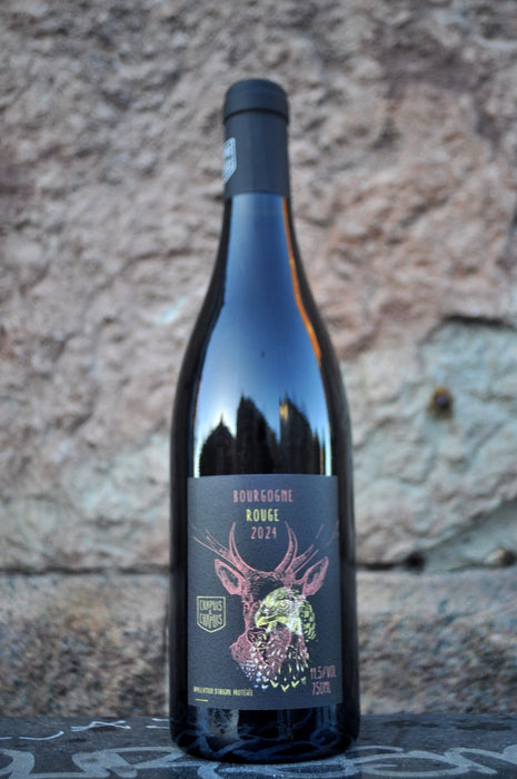 Bourgogne Rouge '24, Chapuis