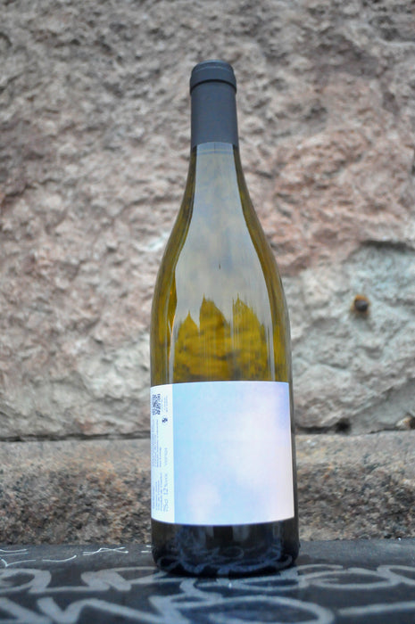 Selene '24, Raphaëlle Guyot