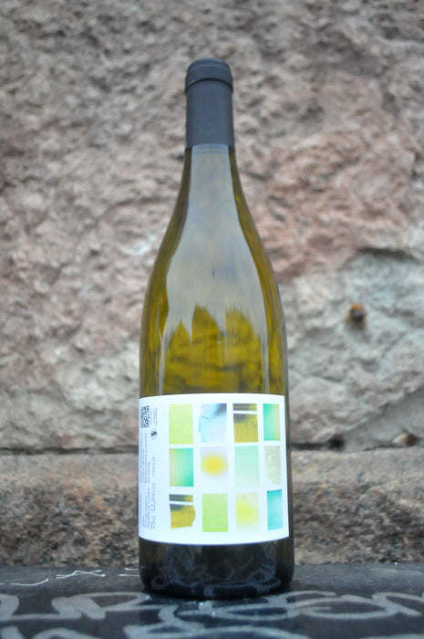 Calliope '24, Raphaëlle Guyot