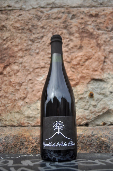 Les Orgues '20, l'Arbre Blanc
