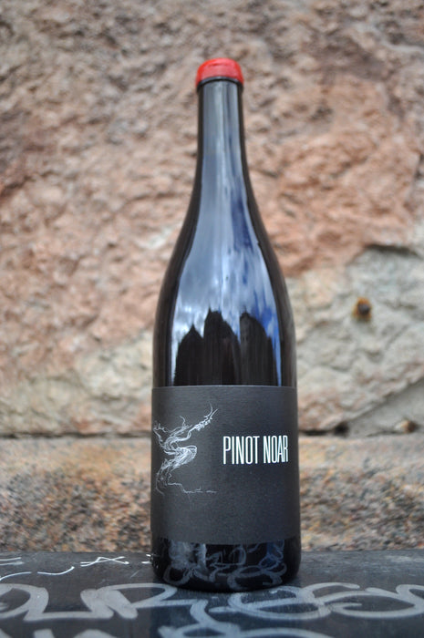 Pinot Noar '24, Arnaud Lopez