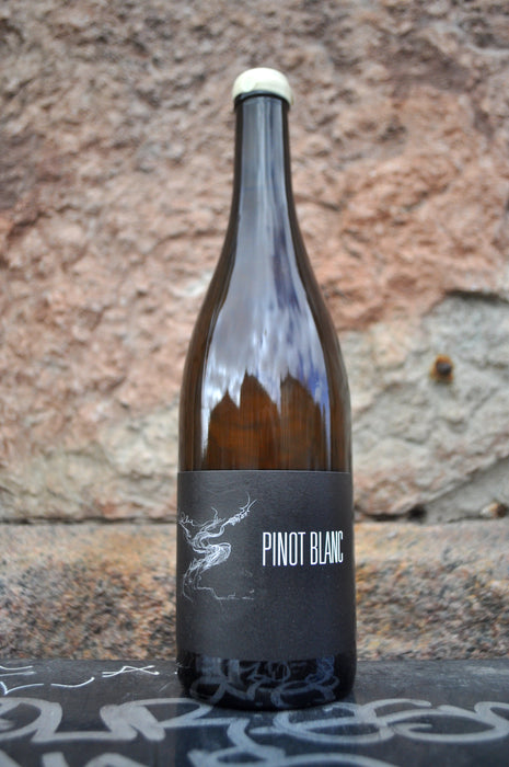 Pinot Blanc '24, Arnaud Lopez