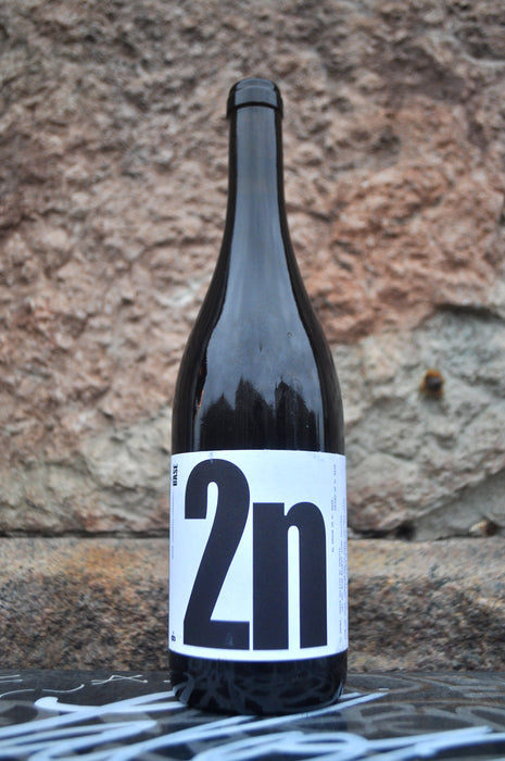 2n Base Tinto '24, 9+
