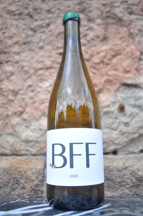 BFF '25, Sønderstrand