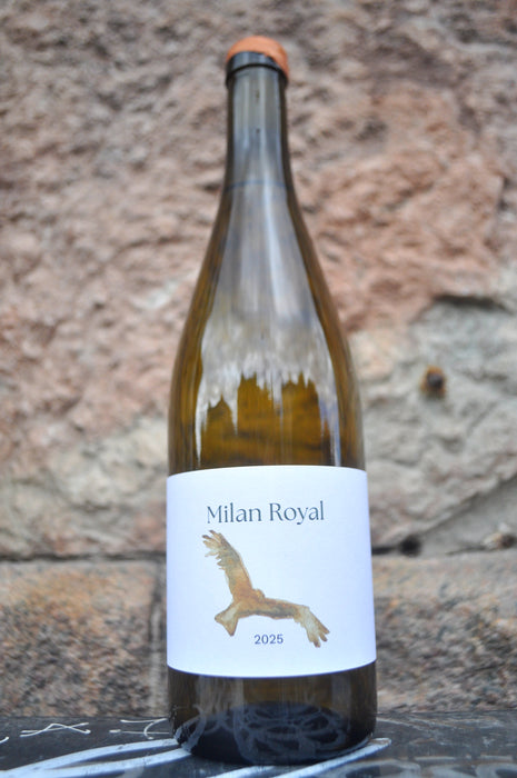 Milan Royal '25, Sønderstrand