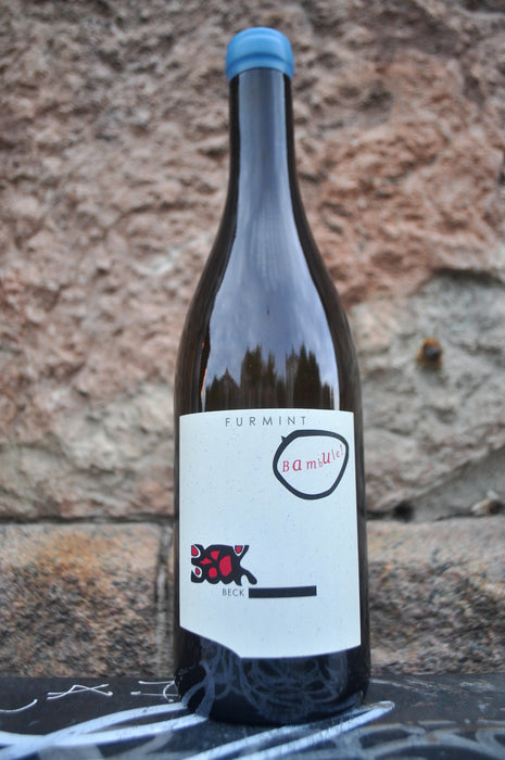 Furmint Bambule ! '24, Judith Beck