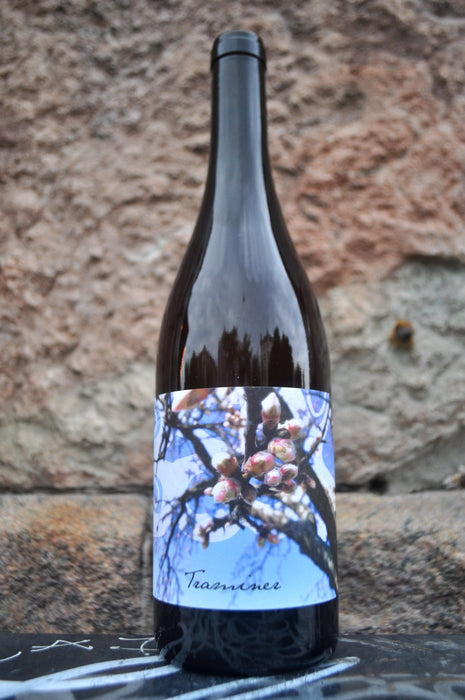 Traminer '25, Judith Beck