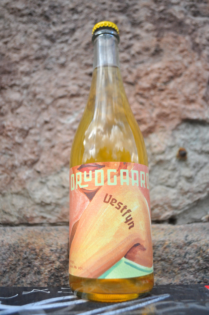 Cider